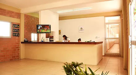 Recepción